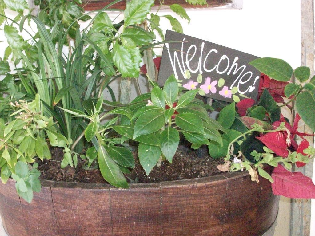 Bread And Barrel Guesthouse Bellville Кейптаун Екстериор снимка
